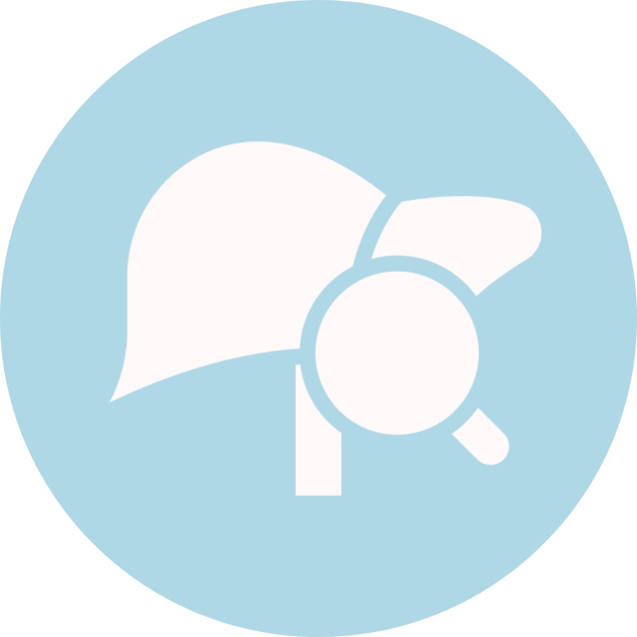 gallery section images one