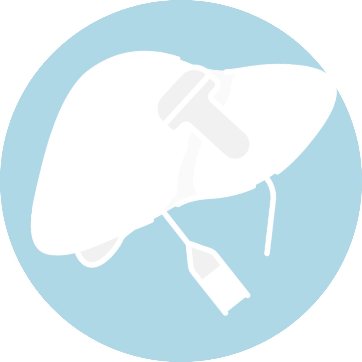 gallery section images one