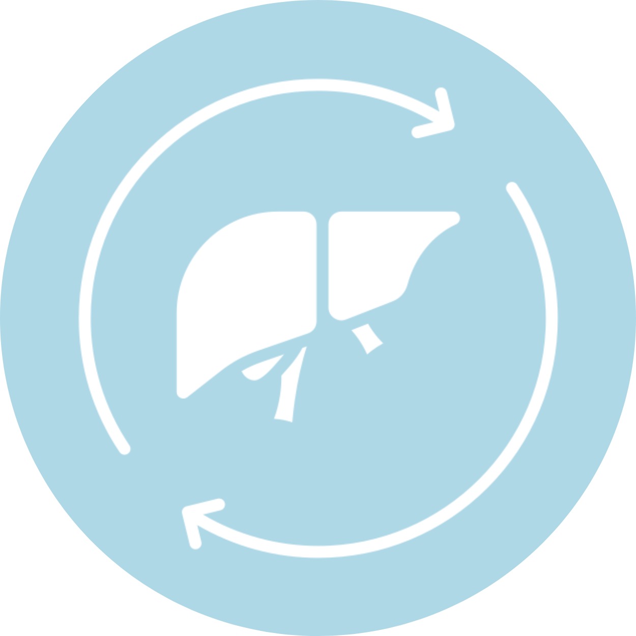 gallery section images one