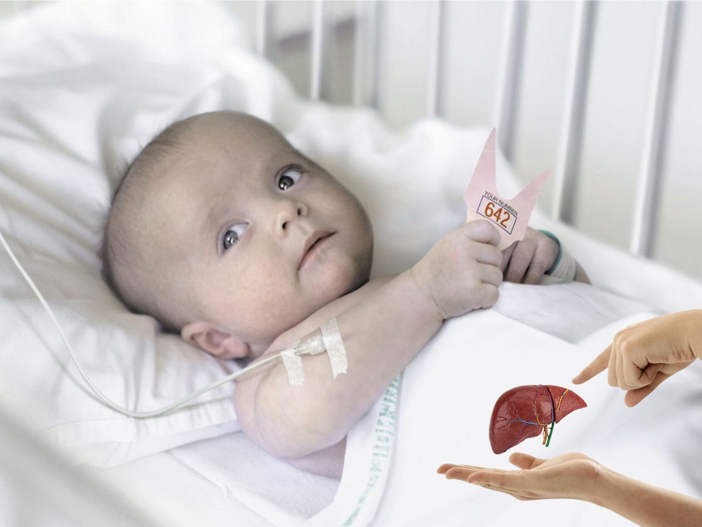 Pediatric Liver  Transplant